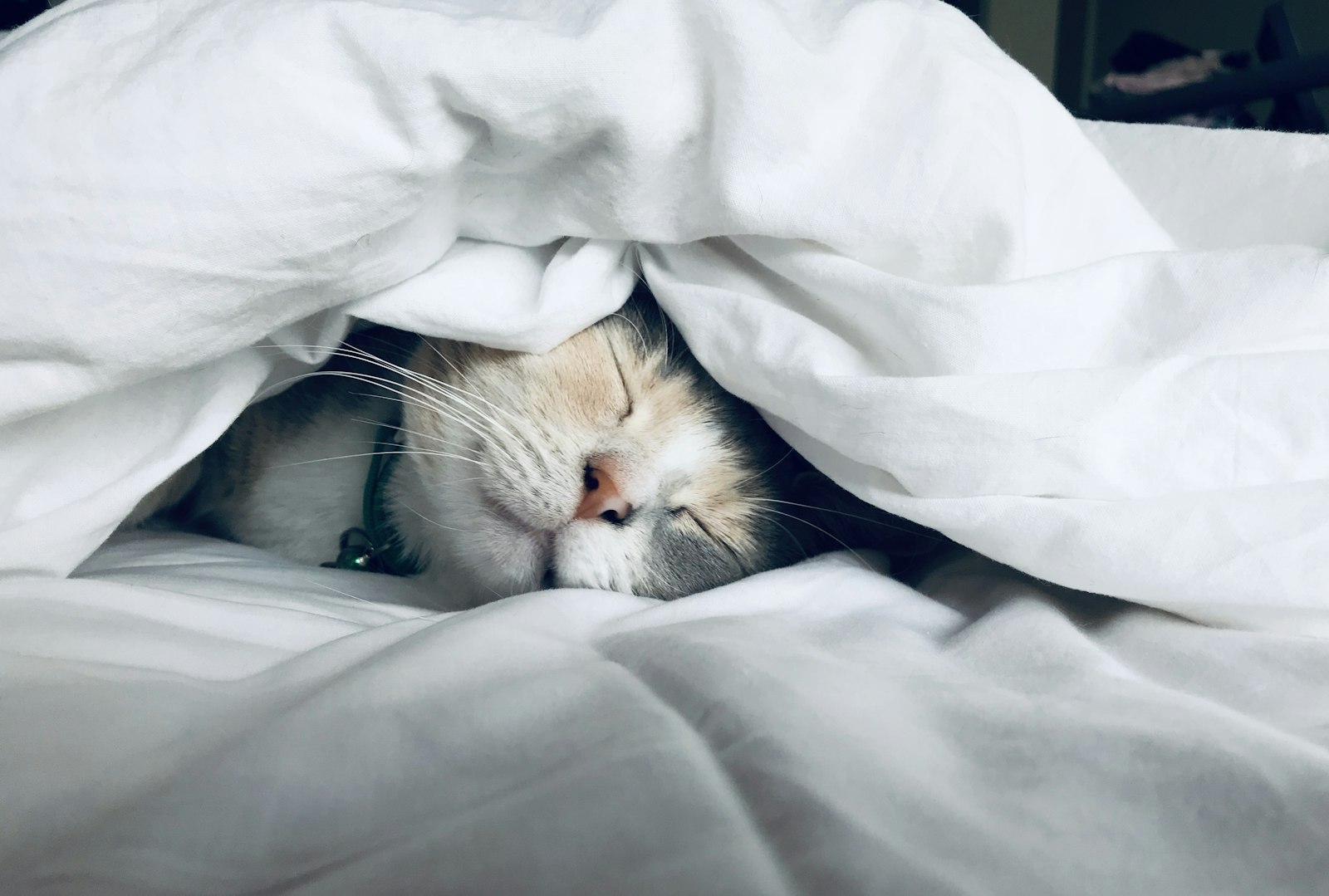 Best Temperature And Sleep Supplements, Ranked